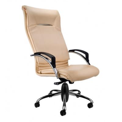 صندلی مدیریتی نیلپر OCM909E